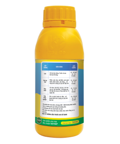 Alternative view of BOTADO