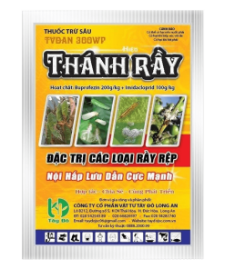 TVDAN 300WP - THÁNH RẦY